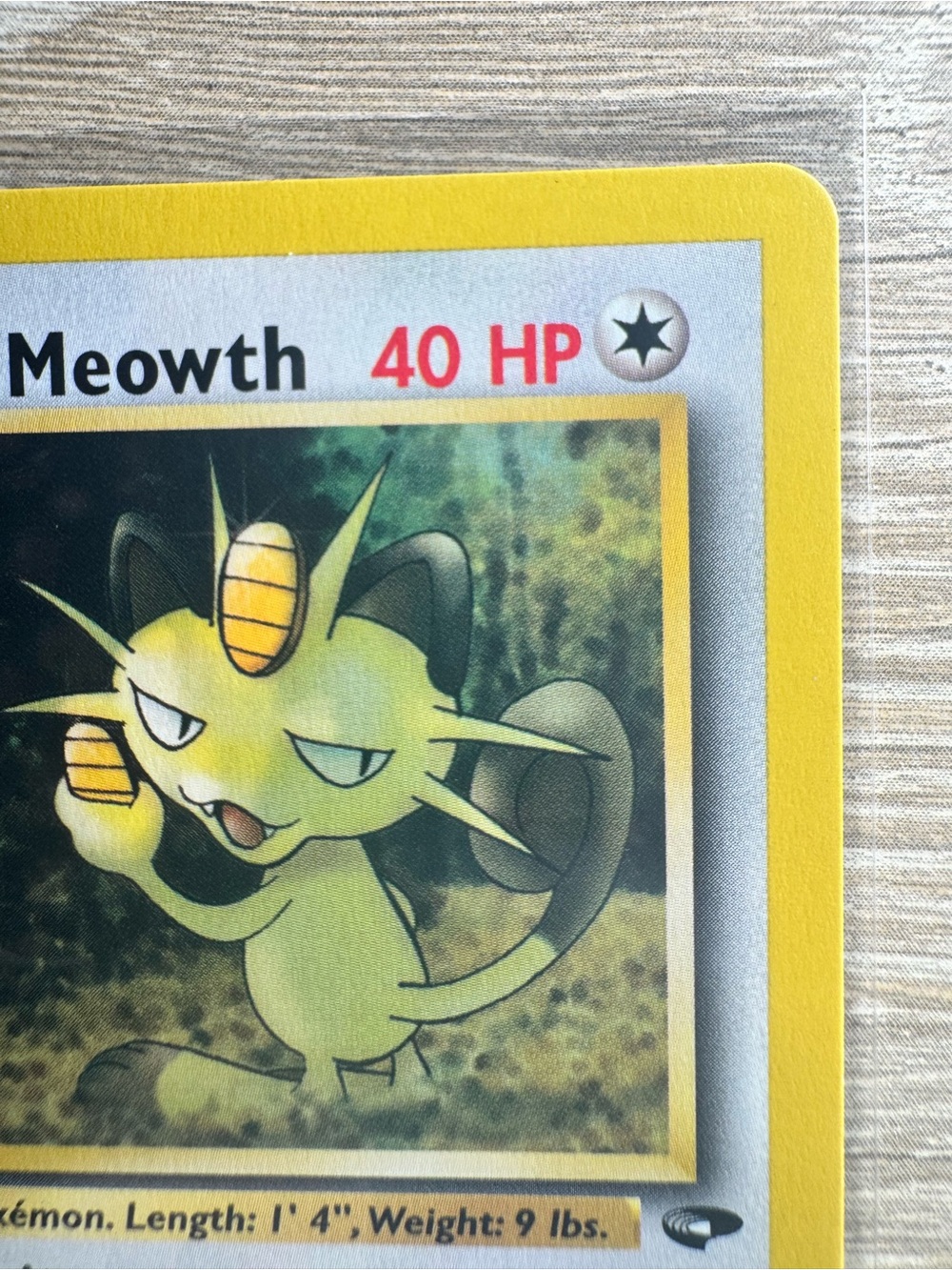 Giovanni's Meowth #43/Pokemon Gym Challenge - Picture 5 of 11